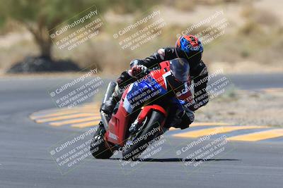 media/May-14-2023-SoCal Trackdays (Sun) [[024eb53b40]]/Turn 5 Tree of Life (1125am)/